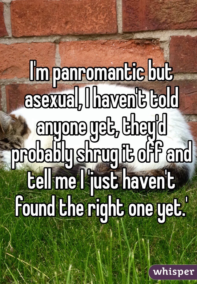 I'm panromantic but asexual, I haven't told anyone yet, they'd probably shrug it off and tell me I 'just haven't found the right one yet.'