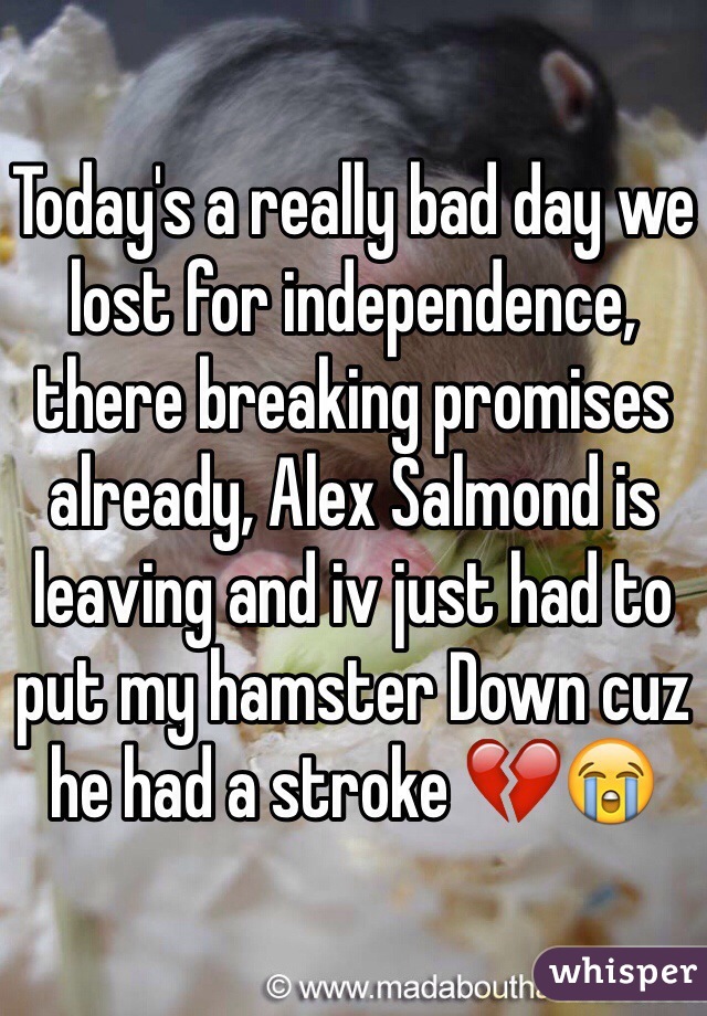 Today's a really bad day we lost for independence, there breaking promises already, Alex Salmond is leaving and iv just had to put my hamster Down cuz he had a stroke 💔😭 