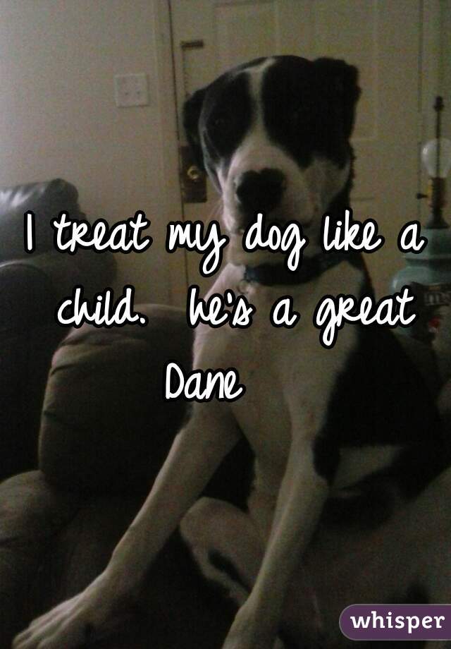 I treat my dog like a child.  he's a great Dane   