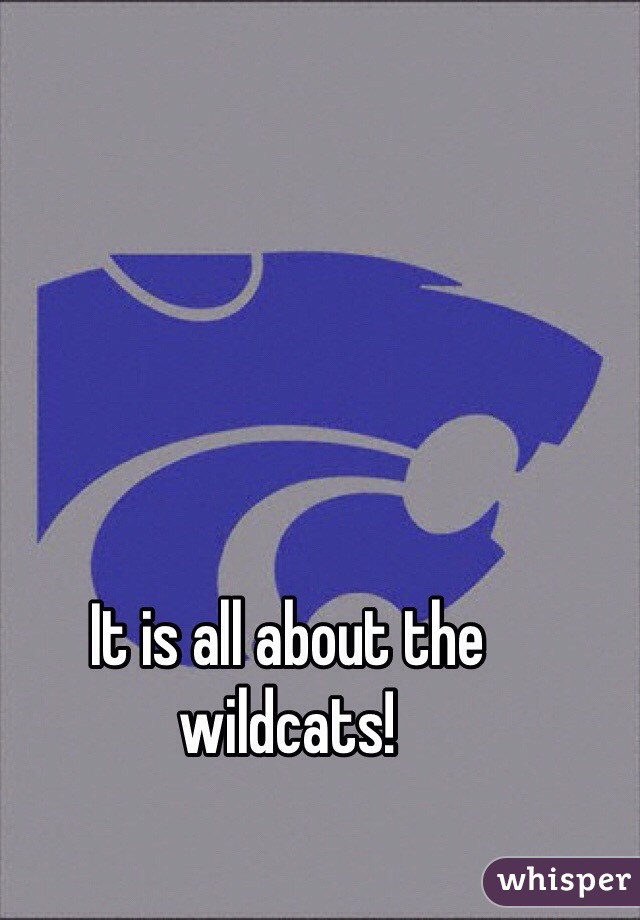 It is all about the wildcats!