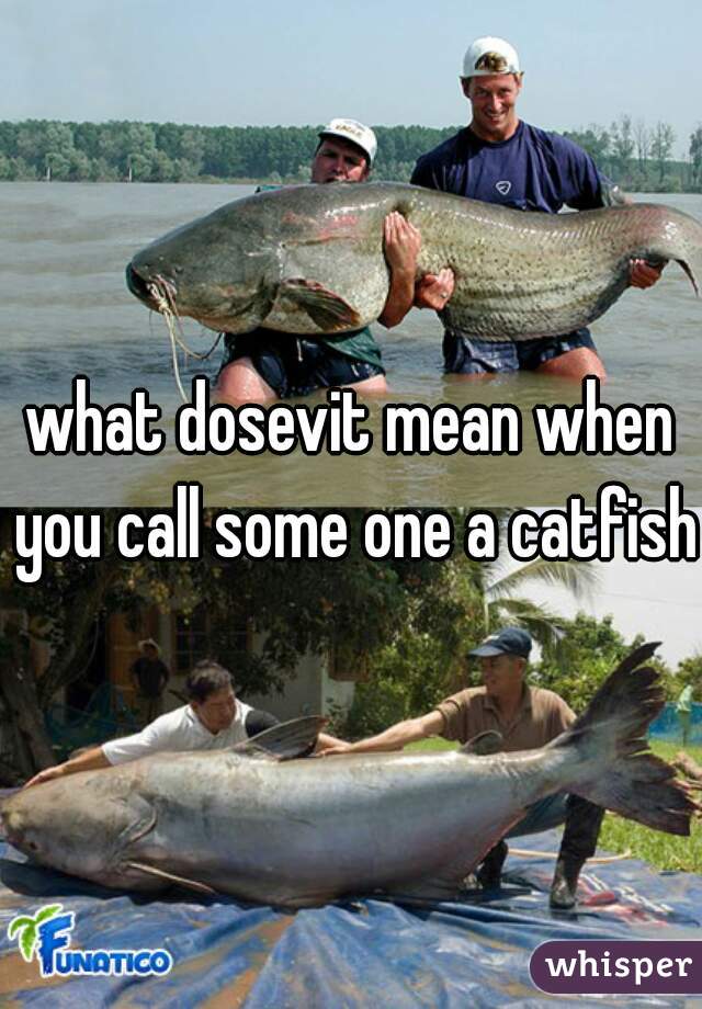what dosevit mean when you call some one a catfish