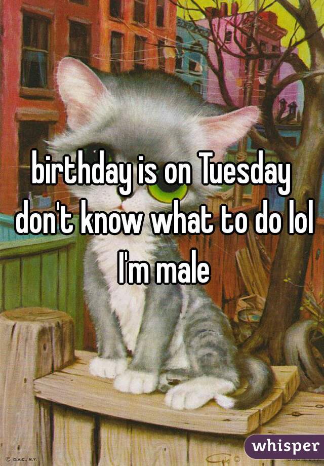 birthday is on Tuesday don't know what to do lol I'm male