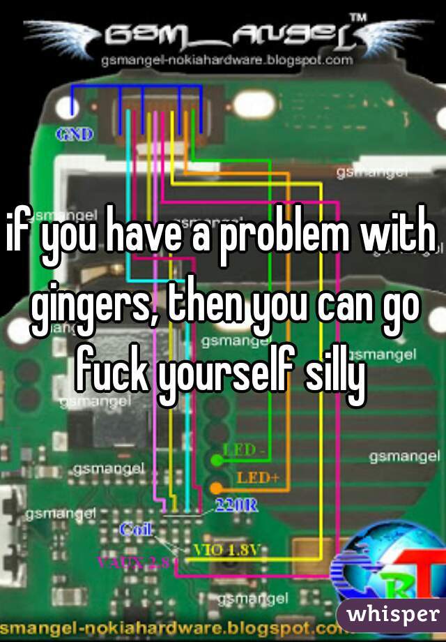 if you have a problem with gingers, then you can go fuck yourself silly 