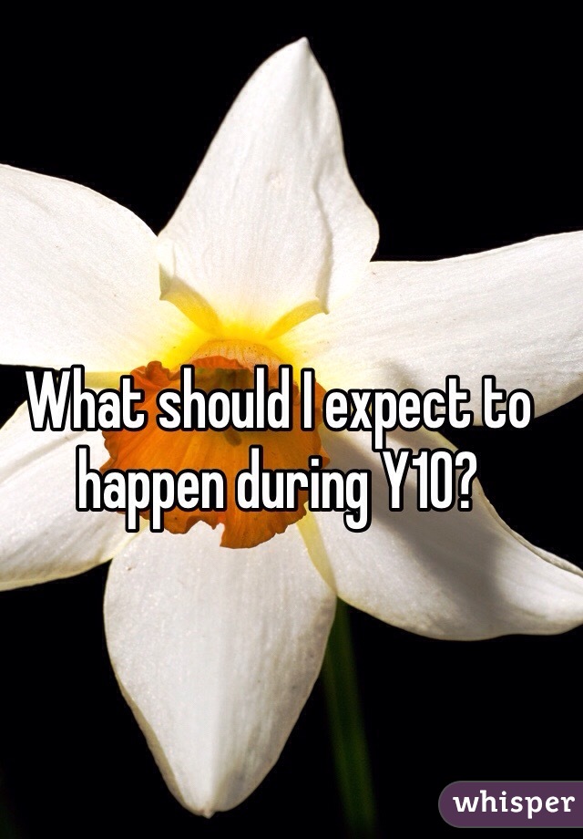 What should I expect to happen during Y10?