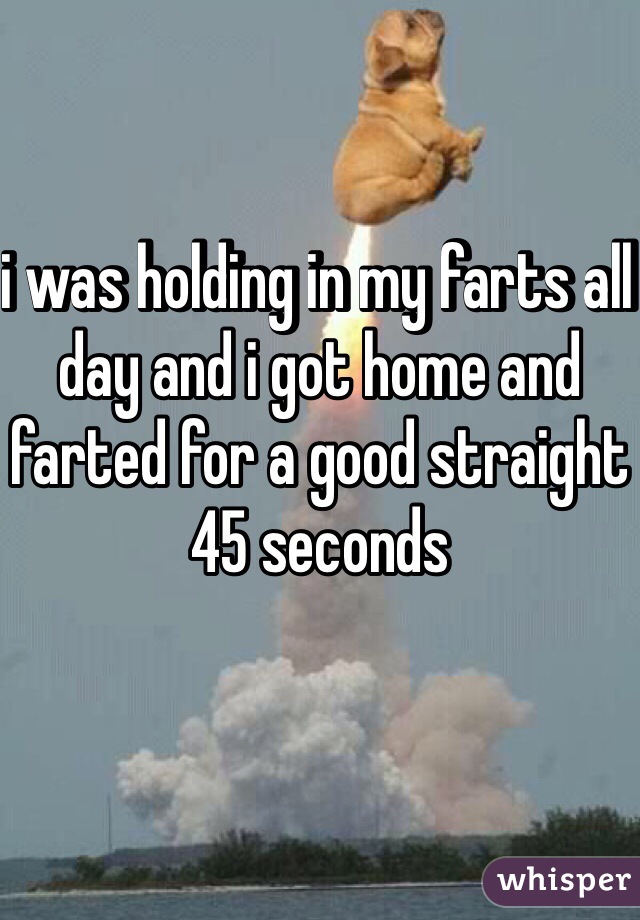 i was holding in my farts all day and i got home and farted for a good straight 45 seconds