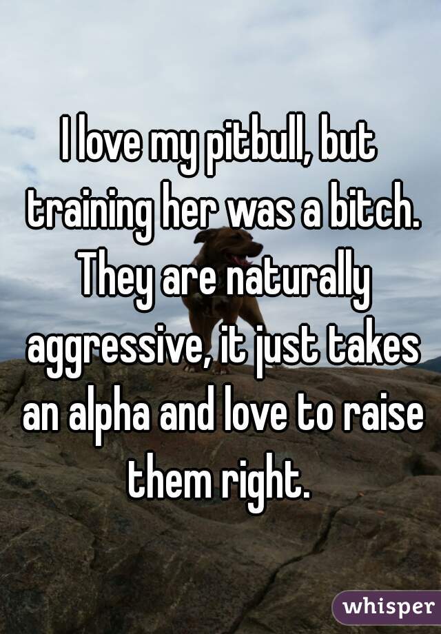 I love my pitbull, but training her was a bitch. They are naturally aggressive, it just takes an alpha and love to raise them right. 