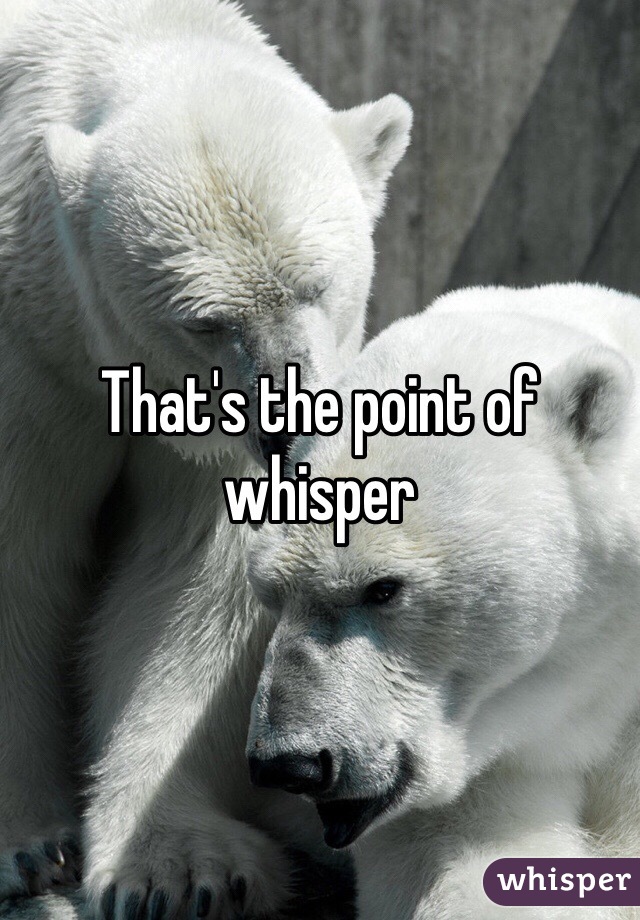 That's the point of whisper