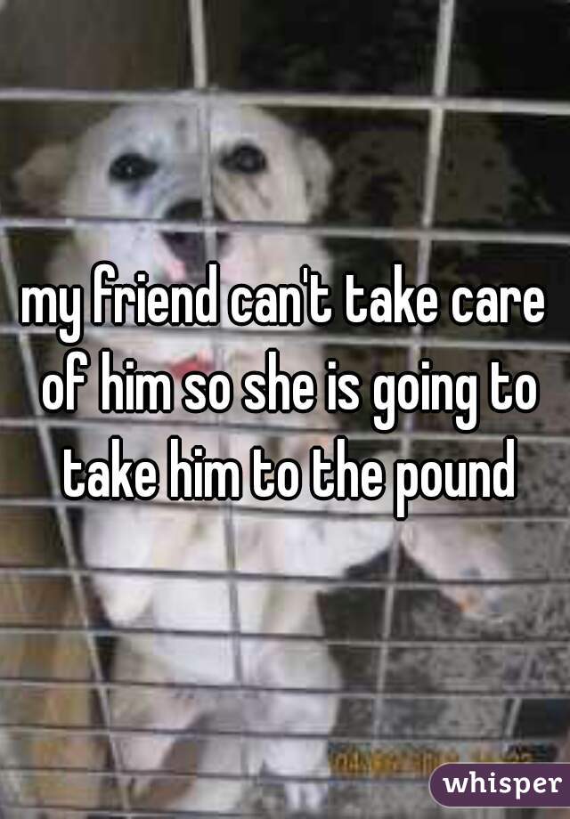 my friend can't take care of him so she is going to take him to the pound