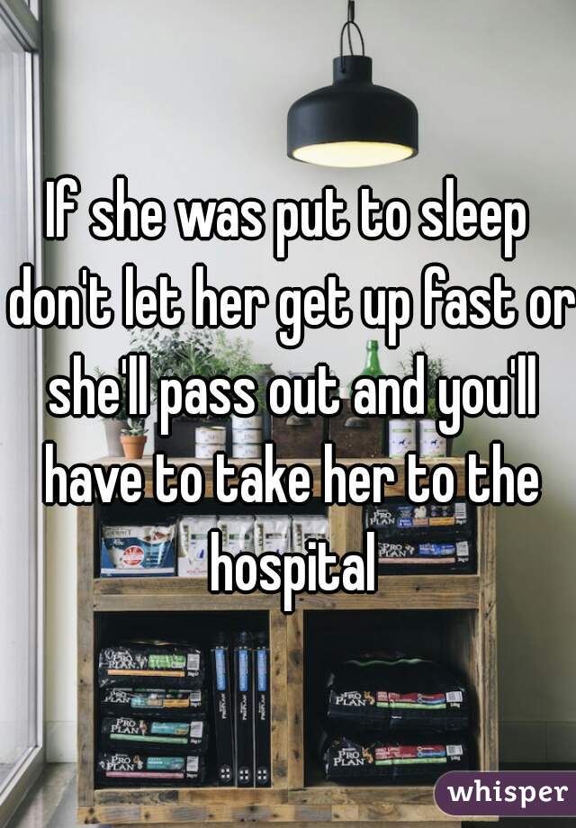 If she was put to sleep don't let her get up fast or she'll pass out and you'll have to take her to the hospital