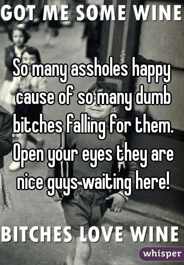 So many assholes happy cause of so many dumb bitches falling for them. Open your eyes they are nice guys waiting here!