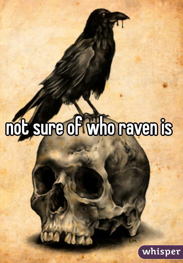 not sure of who raven is 