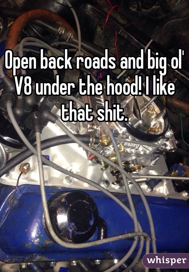 Open back roads and big ol' V8 under the hood! I like that shit.