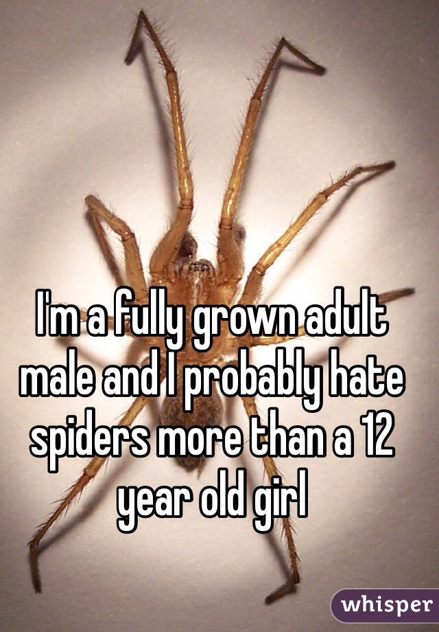 I'm a fully grown adult male and I probably hate spiders more than a 12 year old girl 