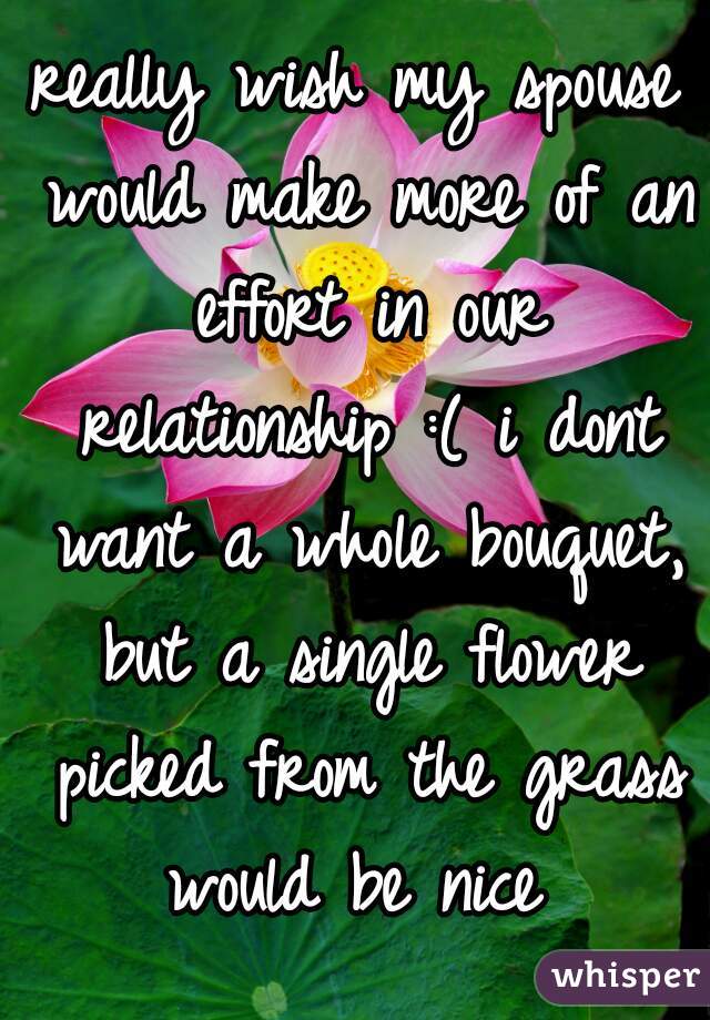 really wish my spouse would make more of an effort in our relationship :( i dont want a whole bouquet, but a single flower picked from the grass would be nice 