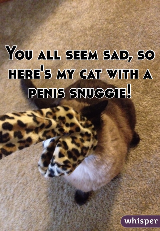 You all seem sad, so here's my cat with a penis snuggie!