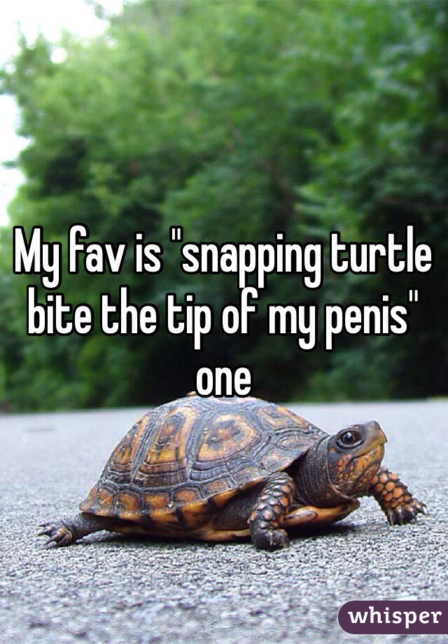 My fav is "snapping turtle bite the tip of my penis" one