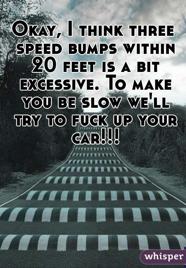Okay, I think three speed bumps within 20 feet is a bit excessive. To make you be slow we'll try to fuck up your car!!!