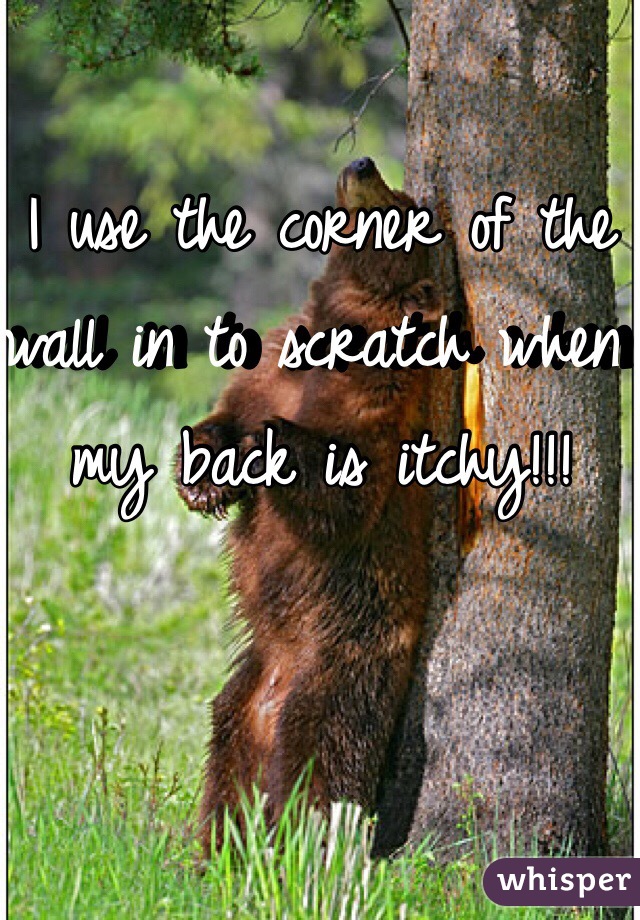 I use the corner of the wall in to scratch when my back is itchy!!! 