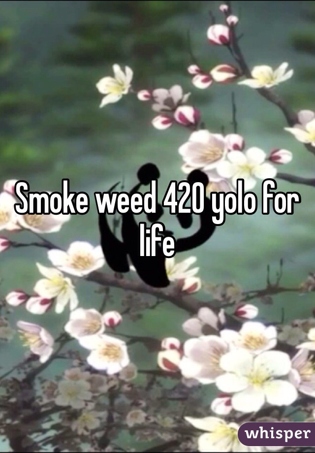 Smoke weed 420 yolo for life