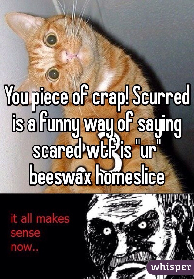 You piece of crap! Scurred is a funny way of saying scared wtf is "ur" beeswax homeslice 