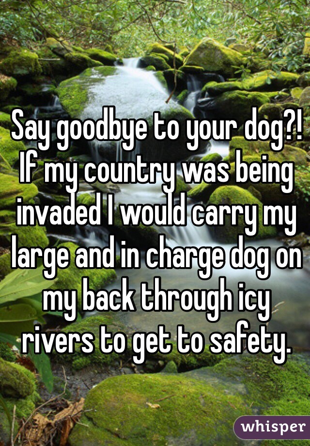 Say goodbye to your dog?! If my country was being invaded I would carry my large and in charge dog on my back through icy rivers to get to safety.