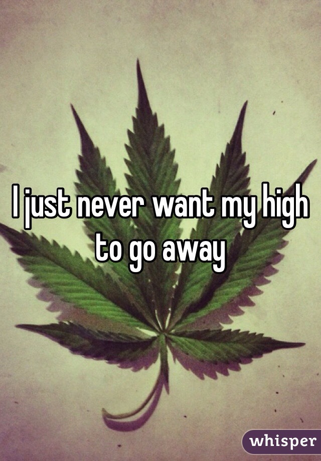 I just never want my high to go away 
