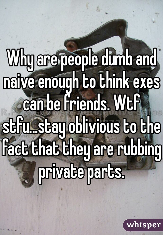 Why are people dumb and naive enough to think exes can be friends. Wtf stfu...stay oblivious to the fact that they are rubbing private parts.