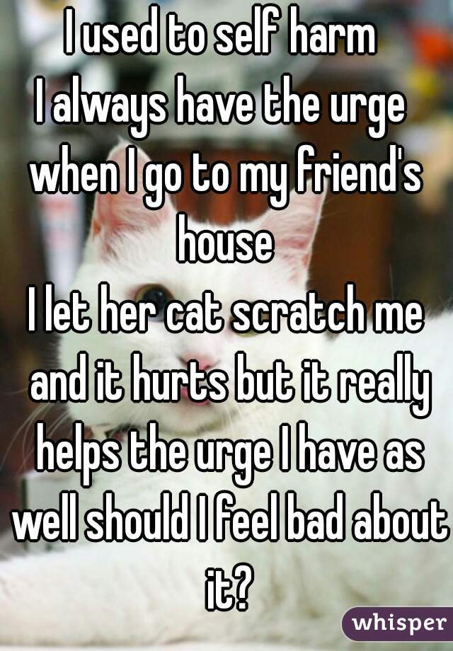 I used to self harm 
I always have the urge 
when I go to my friend's house 
I let her cat scratch me and it hurts but it really helps the urge I have as well should I feel bad about it?