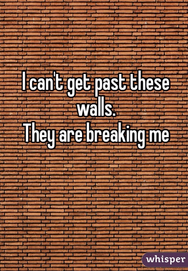I can't get past these walls.
They are breaking me