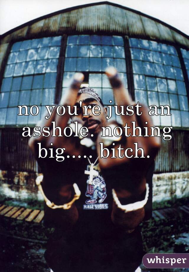 no you're just an asshole. nothing big..... bitch. 
