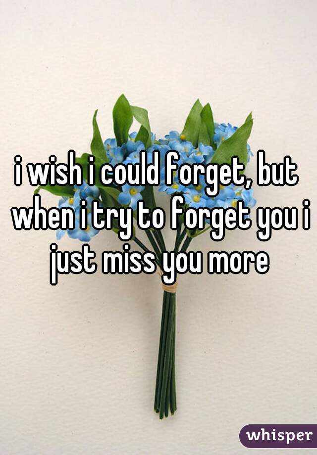 i wish i could forget, but when i try to forget you i just miss you more