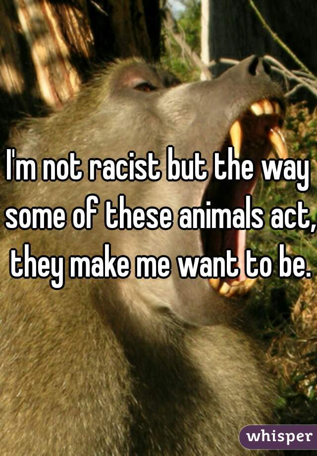 I'm not racist but the way some of these animals act, they make me want to be.