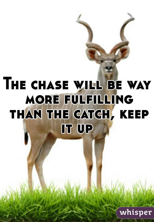 The chase will be way more fulfilling than the catch, keep it up 