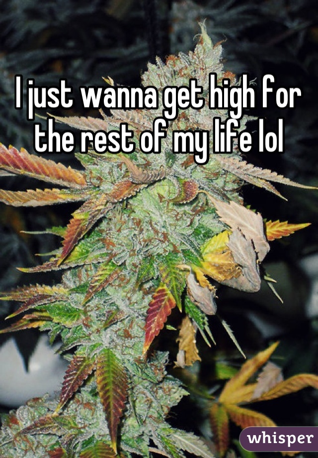 I just wanna get high for the rest of my life lol