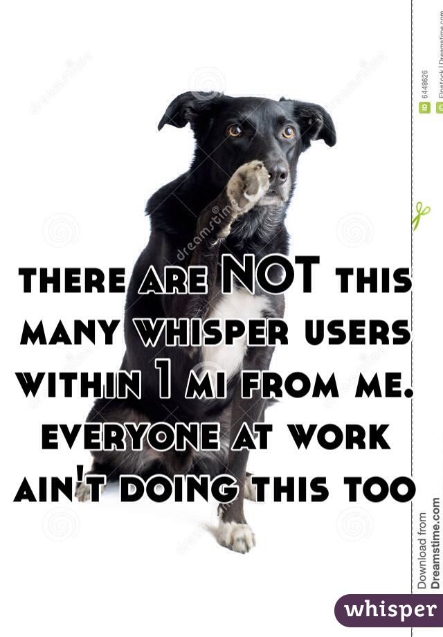 there are NOT this many whisper users within 1 mi from me.
everyone at work ain't doing this too