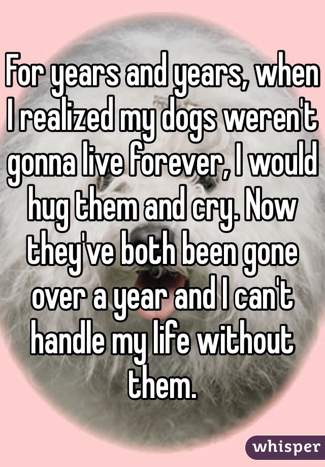 For years and years, when I realized my dogs weren't gonna live forever, I would hug them and cry. Now they've both been gone over a year and I can't handle my life without them. 