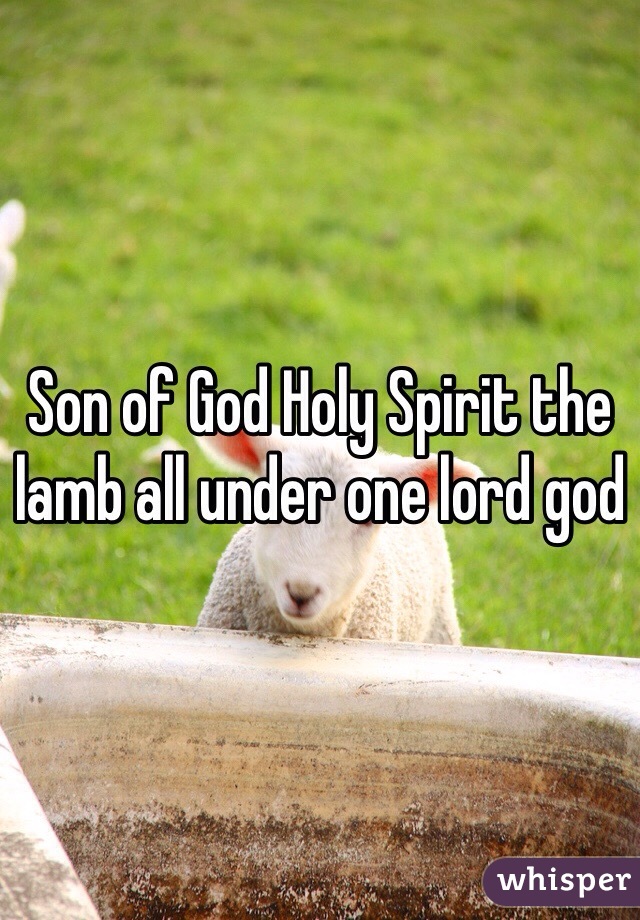 Son of God Holy Spirit the lamb all under one lord god