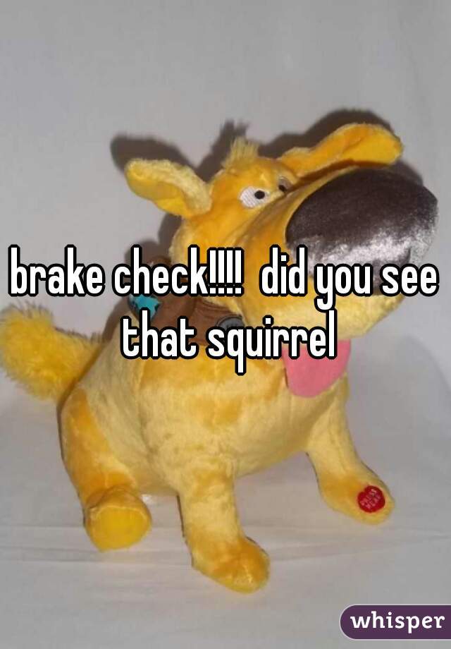 brake check!!!!  did you see that squirrel