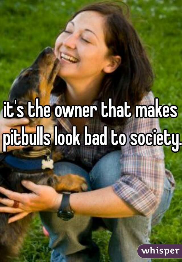 it's the owner that makes pitbulls look bad to society. 