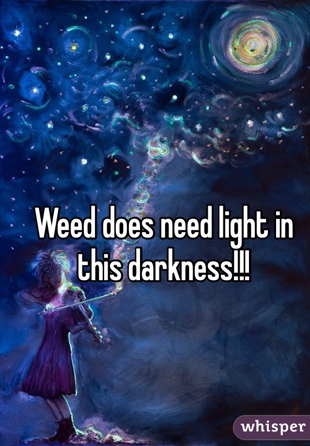 Weed does need light in this darkness!!!