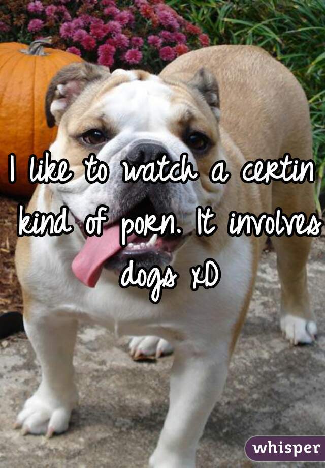 I like to watch a certin kind of porn. It involves dogs xD
