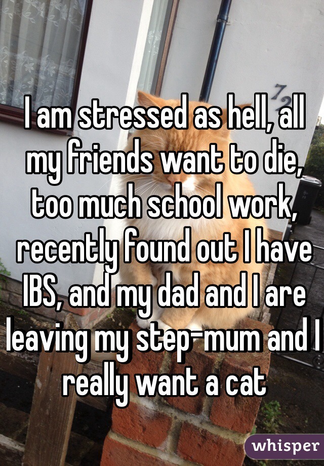 I am stressed as hell, all my friends want to die, too much school work, recently found out I have IBS, and my dad and I are leaving my step-mum and I really want a cat
