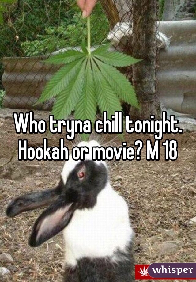 Who tryna chill tonight. Hookah or movie? M 18