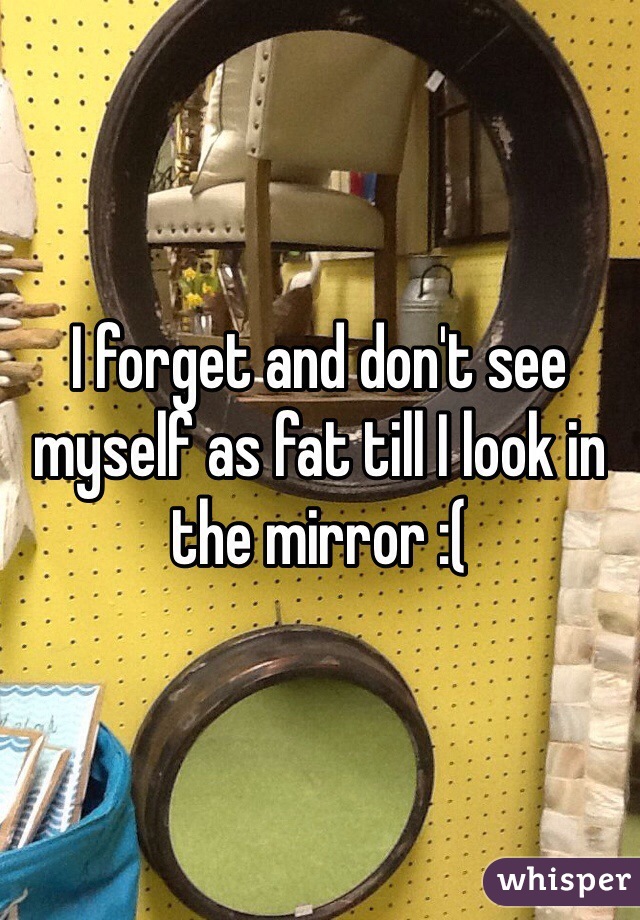 I forget and don't see myself as fat till I look in the mirror :(