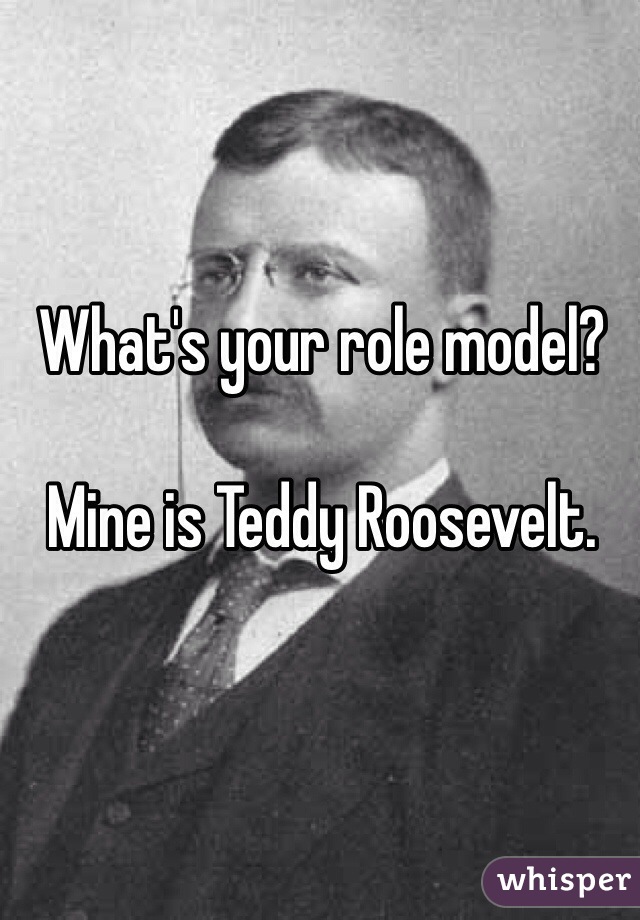 What's your role model?

Mine is Teddy Roosevelt.