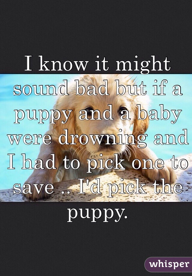 I know it might sound bad but if a puppy and a baby were drowning and I had to pick one to save .. I'd pick the puppy. 