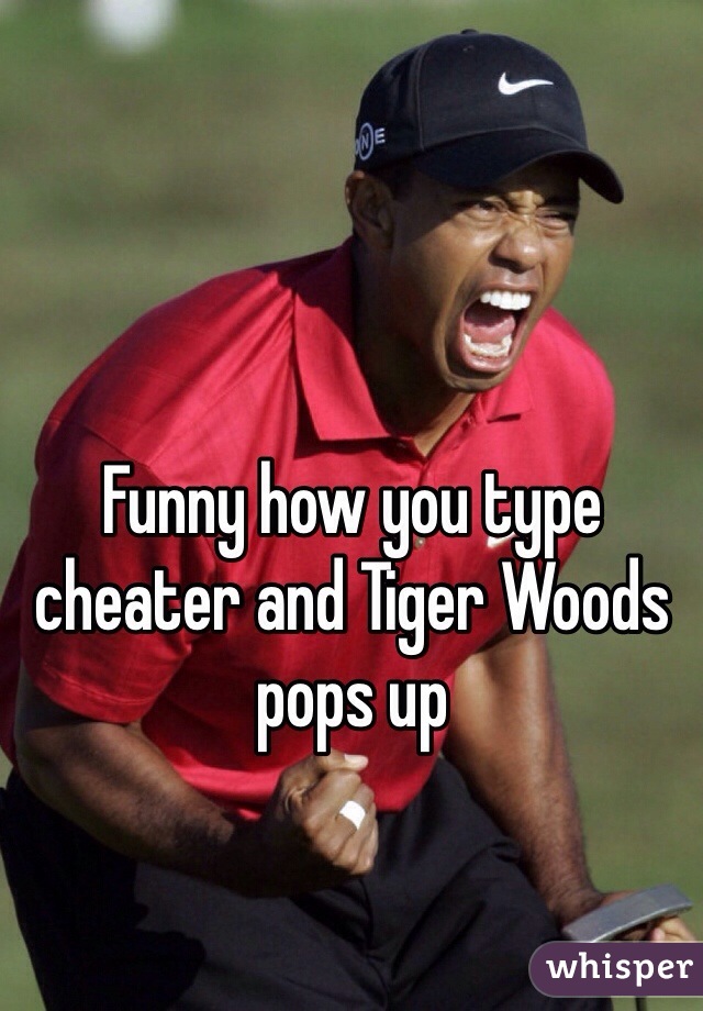 Funny how you type cheater and Tiger Woods pops up