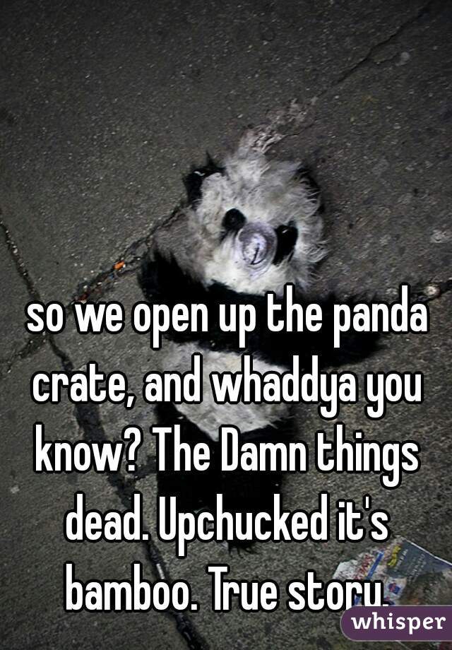  so we open up the panda crate, and whaddya you know? The Damn things dead. Upchucked it's bamboo. True story.