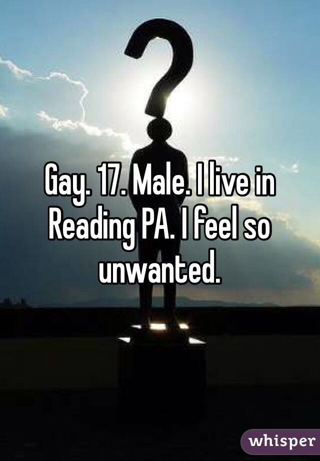 Gay. 17. Male. I live in Reading PA. I feel so unwanted.