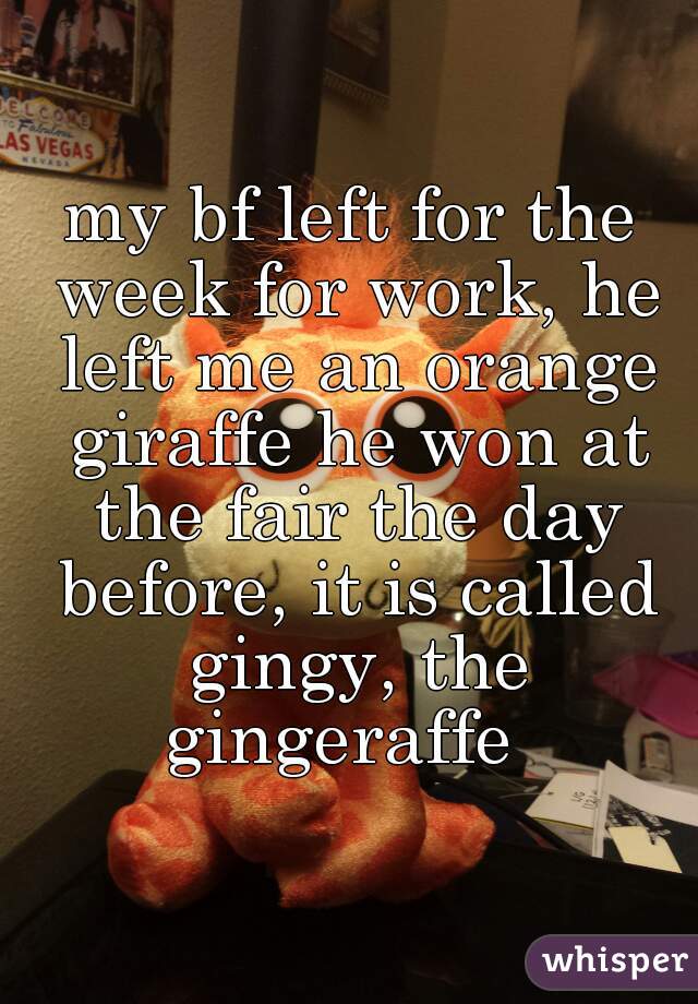 my bf left for the week for work, he left me an orange giraffe he won at the fair the day before, it is called gingy, the gingeraffe  